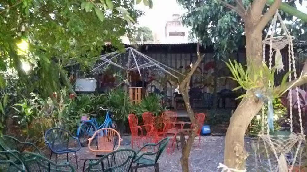 Hamaca Paraguaya Hostel Asunción Exteriér fotografie